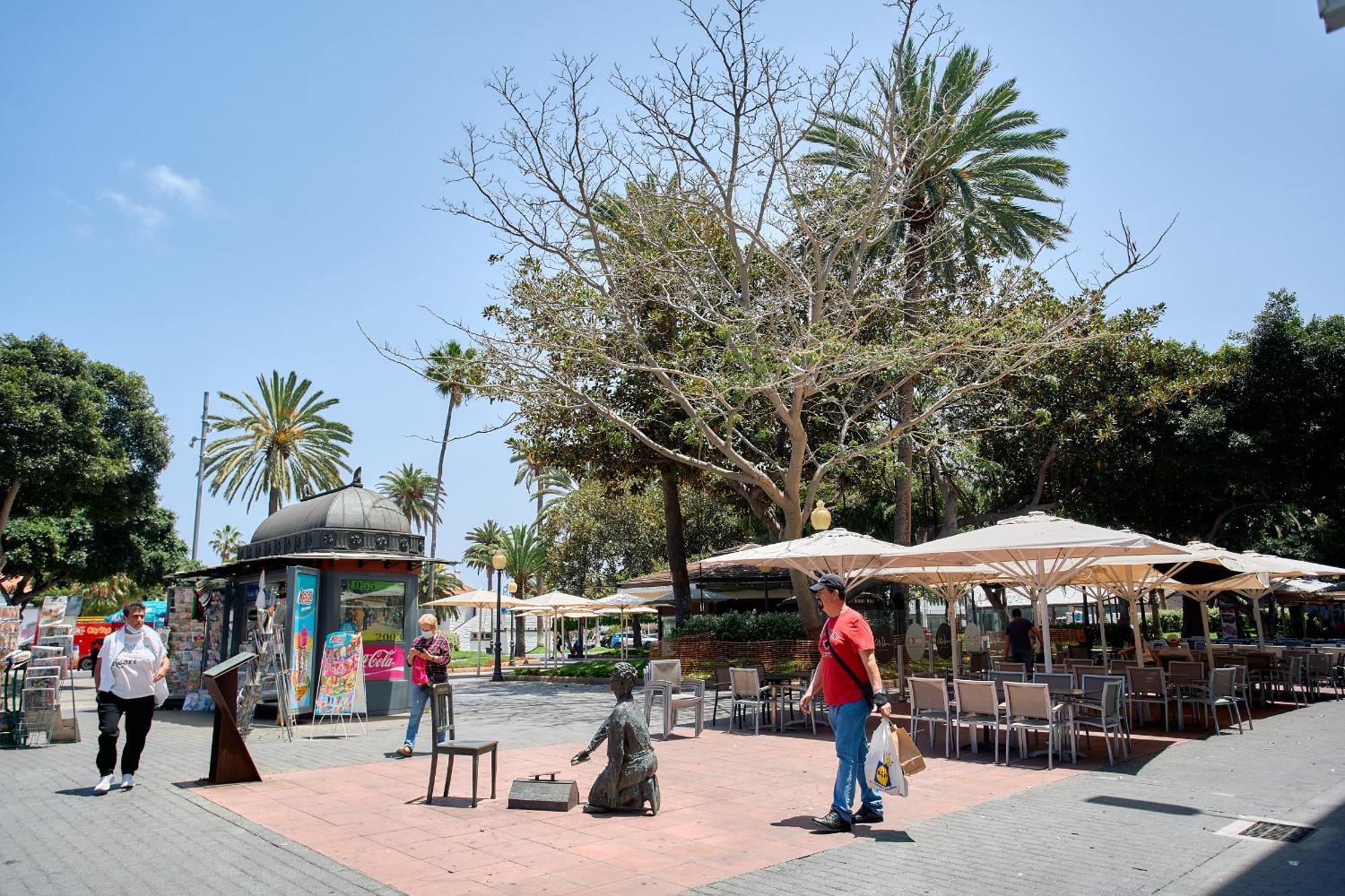 Urban Flat In Santa Catalina - 4 Min Walk To Beach Las Palmas de Gran Canaria Exterior foto